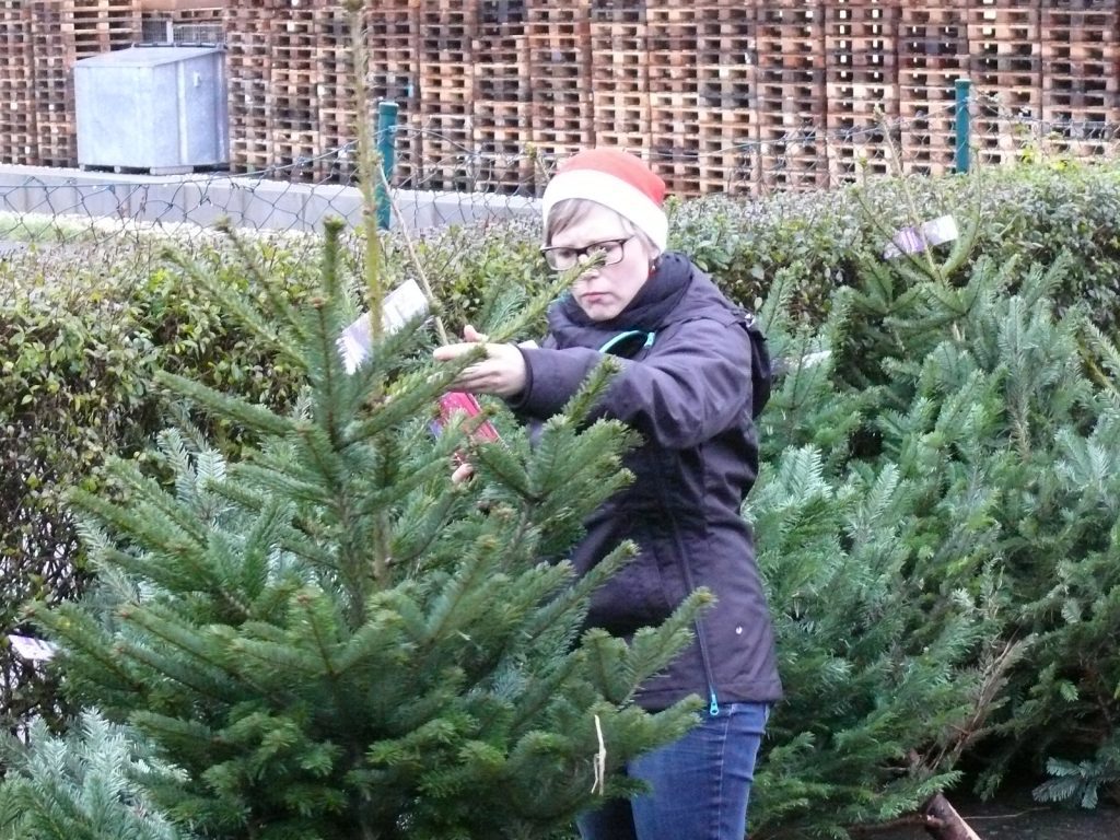 Großer Weihnachtsmarkt mit Weihnachtsbaumverkauf in den Nordeifelwerkstätten Kuchenheim  Presse 